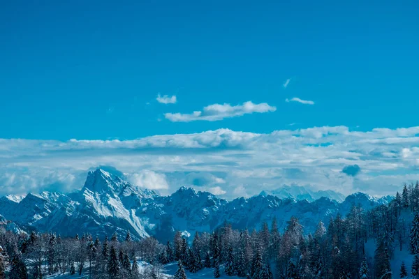 Górze Zoncolan Alpach Karnickich Obfitych Opadach Śniegu Prowincja Udine Region — Zdjęcie stockowe