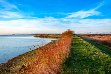 Arkasında karlı dağlar olan antik Barbana Mabedi.