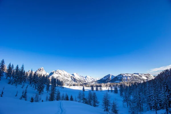 Alpi Carniche Dopo Una Grande Nevicata Provincia Udine Regione Friuli — Foto Stock