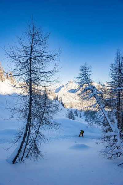 Karnické Alpy Velkém Sněžení Provincie Udine Region Friuli Venezia Giulia — Stock fotografie