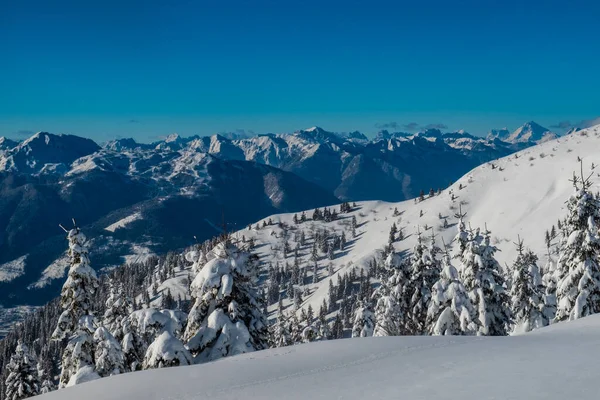 Karniska Alper Efter Ett Stort Snöfall Udine Provinsen Regionen Friuli — Stockfoto