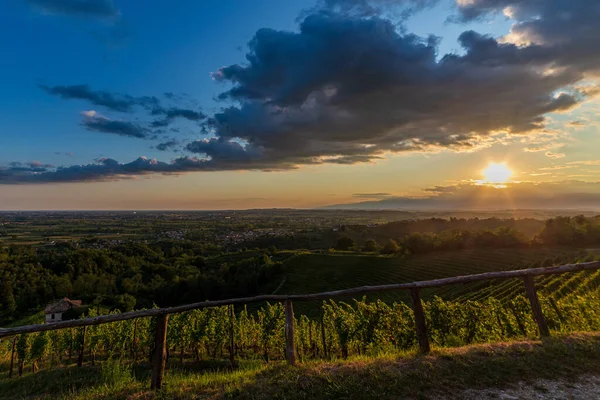 Zon Gaat Onder Boven Wijngaarden Van Savorgnano Del Torre Friuli — Stockfoto