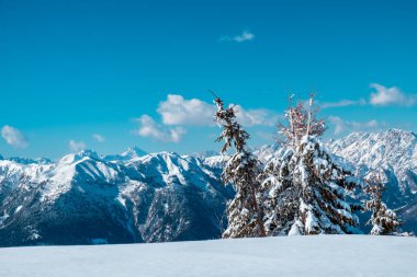 Zoncolan Dağı 'nda, büyük bir kar yağışı sonrası Carnic Alpleri. Udine ili, Friuli-Venezia Giulia bölgesi, İtalya