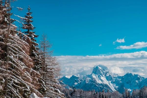 Mount Zoncolan Karniska Alperna Efter Ett Stort Snöfall Udine Provinsen — Stockfoto