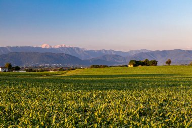 Güneş Friuli Venezia-Giulia, İtalya 'da batıyor.