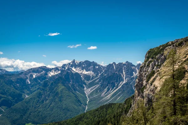 Μάιος Ηλιόλουστη Μέρα Στις Άλπεις Της Friuli Venezia Giulia Ιταλία — Φωτογραφία Αρχείου