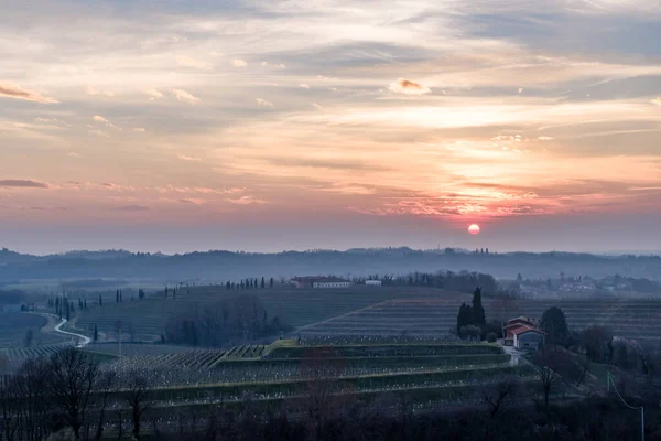 Zon Gaat Onder Wijngaarden Van Friuli Venezia Giulia — Stockfoto