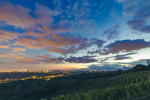 Słońce Zachodzi Nad Winnicami Savorgnano Del Torre Friuli Venezia Giulia — Zdjęcie stockowe