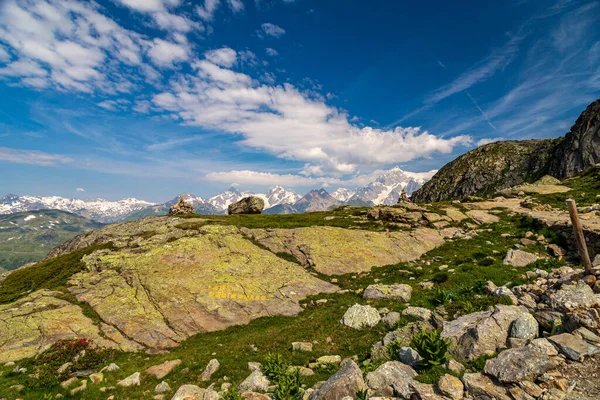 ラトー グループ トゥーイルの山の中で夏のトレッキング日 — ストック写真