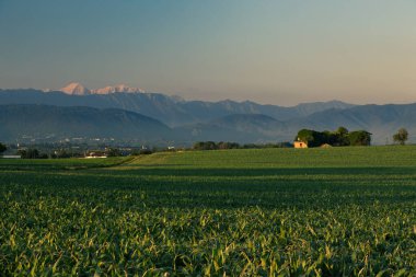 Güneş Friuli Venezia-Giulia, İtalya 'da batıyor.