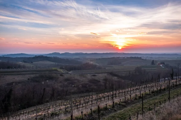 Sun Goes Vineyards Friuli Venezia Giulia — Stock Photo, Image