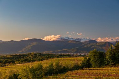 Rosazzo, Udine, Friuli Venezia-Giulia üzüm bağlarında renkli günbatımı