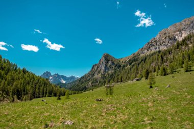 Friuli-Venezia Giulia Alplerinde güneşli bir gün, İtalya