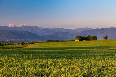 Güneş Friuli Venezia-Giulia, İtalya 'da batıyor.