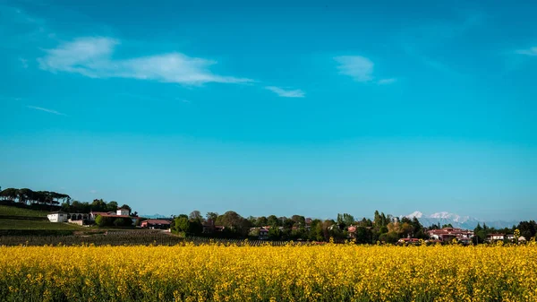 Campo Italiano Soleado Día Primavera — Foto de Stock