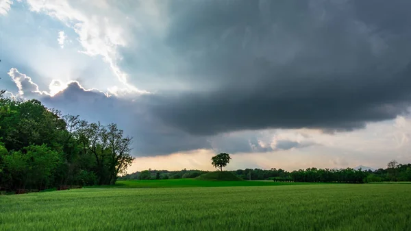 在暴风雨的春日里弗留里亚朱利亚的田野 — 图库照片