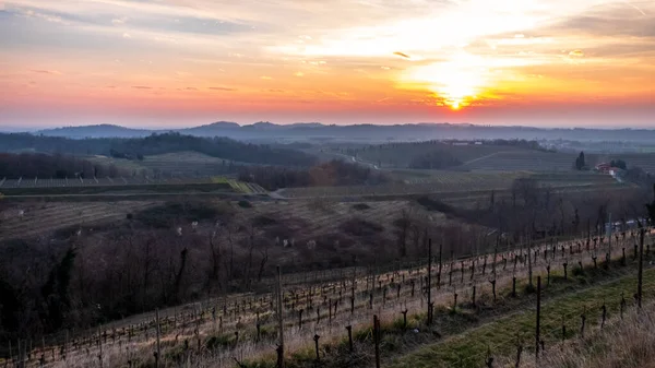 The sun goes down in the vineyards of Friuli Venezia-Giulia