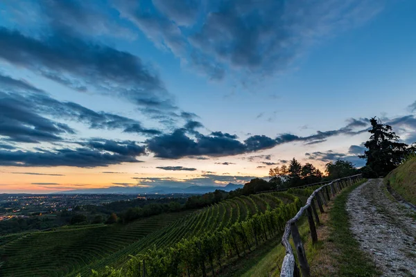 Słońce Zachodzi Nad Winnicami Savorgnano Del Torre Friuli Venezia Giulia — Zdjęcie stockowe