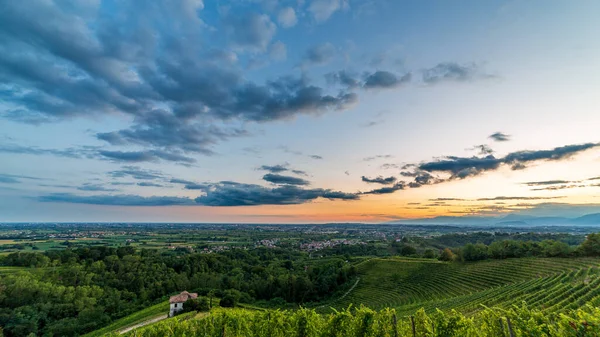 Słońce Zachodzi Nad Winnicami Savorgnano Del Torre Friuli Venezia Giulia — Zdjęcie stockowe