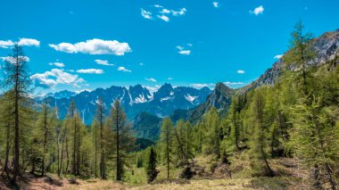 Friuli-Venezia Giulia Alplerinde güneşli bir gün, İtalya