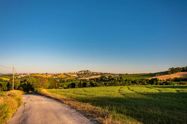 Sunrise Fields Marche Village Numana — Stock Photo, Image