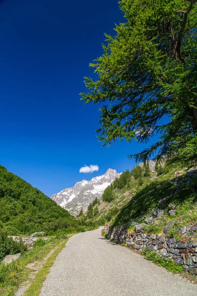 Splendide Alpi Del Gruppo Del Monte Bianco — Foto Stock