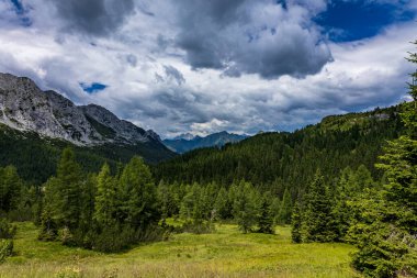 Summer day in the alps of Friuli-Venezia Giulia, Italy