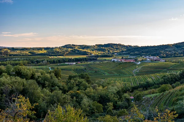 The sun goes down over the vineyards of Collio, Friuli Venezia Giulia, Italy