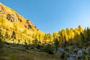 İtalya 'nın Friuli Venezia-Giulia Alplerinde güneşli bir sonbahar günü