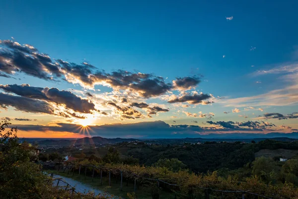 太陽がCollio Friuli Venezia Giula Italyのブドウ畑に沈む — ストック写真