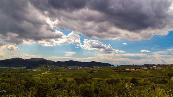Regen Zon Wijngaarden Van Slovenië — Stockfoto