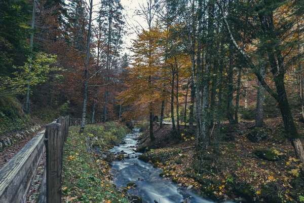 Dia Outono Perto Dos Lagos Fusine Friuli Venezia Giulia Itália — Fotografia de Stock