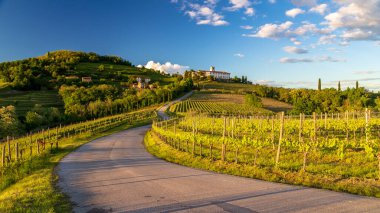 Rosazzo, Udine, Friuli Venezia-Giulia üzüm bağlarında renkli günbatımı