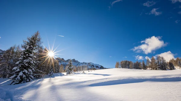 Alpes Cárnicos Depois Uma Grande Queda Neve Província Udine Região — Fotografia de Stock