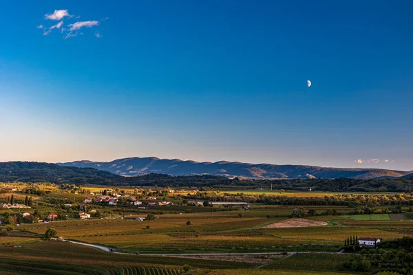 Słońce Zachodzi Nad Winnicami Collio Friuli Venezia Giulia Włochy — Zdjęcie stockowe