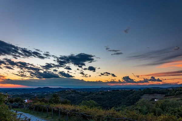 Sol Põe Sobre Vinhas Collio Friuli Venezia Giulia Itália — Fotografia de Stock