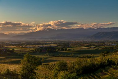 Rosazzo, Udine, Friuli Venezia-Giulia üzüm bağlarında renkli günbatımı