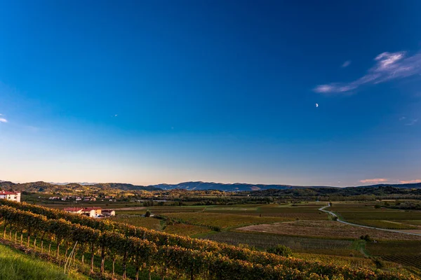 Słońce Zachodzi Nad Winnicami Collio Friuli Venezia Giulia Włochy — Zdjęcie stockowe