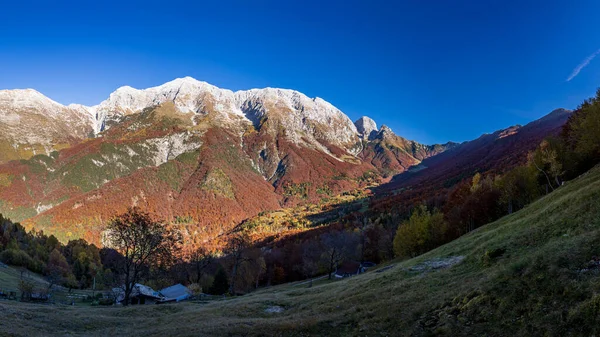 Jesienny Dzień Kolorowymi Liśćmi Lesie Val Resia Friuli Venezia Giulia — Zdjęcie stockowe