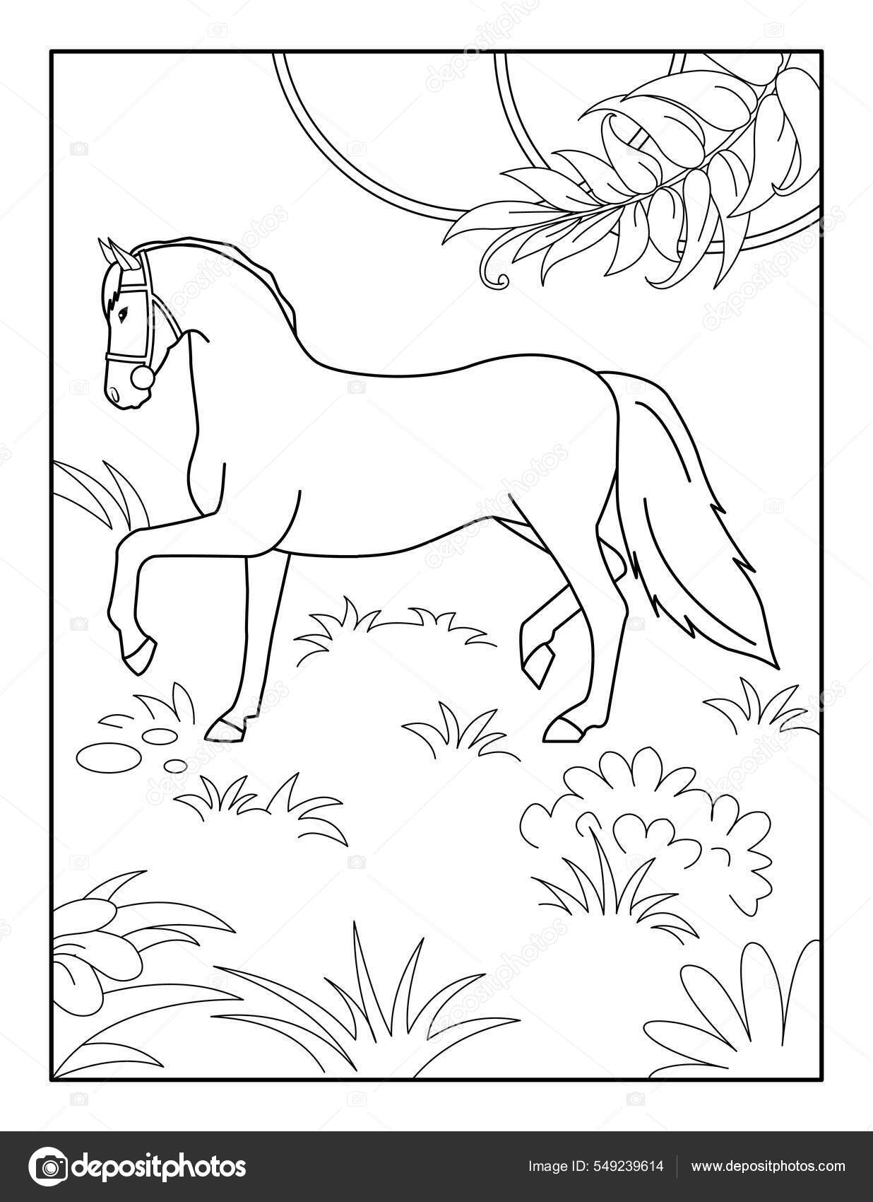 Desenho de Cavalo de competição para Colorir - Colorir.com