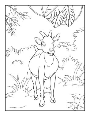 Çocuklar için keçi boyama sayfası. Rahatlama ve meditasyon için keçi boyama kitabı.