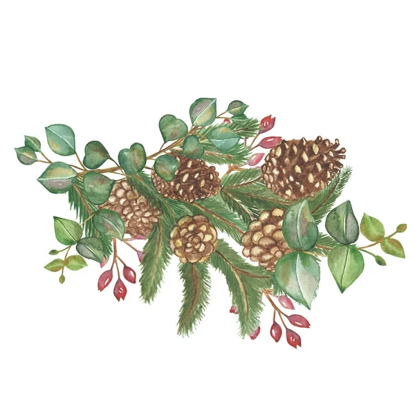 緑のモミの枝 茶色のコーン ユーカリの葉と新しい年カードのデザインのための白い背景に赤いベリーの花束と水彩手描きの自然冬の休暇組成物 — ストック写真