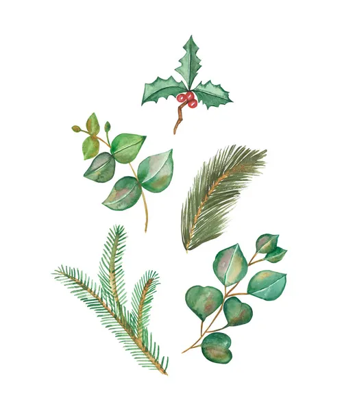 Akvarel Ručně Malované Přírody Zimní Dovolená Rostliny Set Zelenými Listy — Stock fotografie