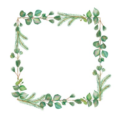 Suluboya el resmi kış tatili kare sınır çerçevesi yeşil köknar iğnesi dalları ve okaliptüs yaprakları kompozisyonu ile davet ve tebrik kartı tasarımı için beyaz arka planda.