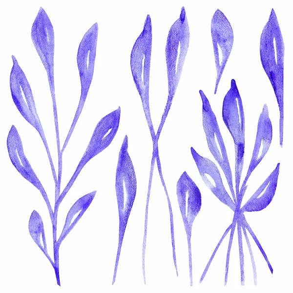 水彩手描きの自然植物デザイン要素のための白の背景に隔離された枝の組成物に紫色の葉で設定された色 — ストック写真