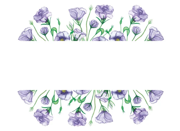 Акварель Ручной Окрашенной Природы Цветочный Баннер Рамка Фиолетовыми Цветами Эустомы — стоковое фото