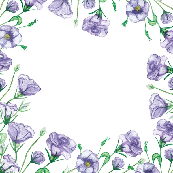 Акварель Ручна Розфарбована Природа Квіткова Квадратна Рамка Фіолетовими Квітами Еустоми — стокове фото
