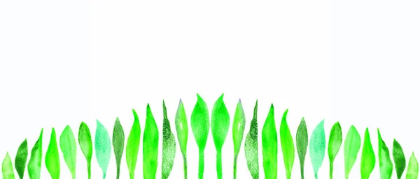 Акварель Ручной Окрашенной Зелени Композиция Различными Зелеными Голубыми Листьями Коллекции — стоковое фото