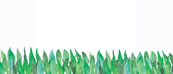 Aquarel Hand Geschilderd Natuur Groen Banner Lijn Met Groene Blauwe Stockfoto