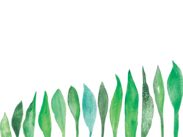 Aquarel Hand Geschilderd Natuur Groen Banner Lijn Compositie Met Groene Rechtenvrije Stockfoto's